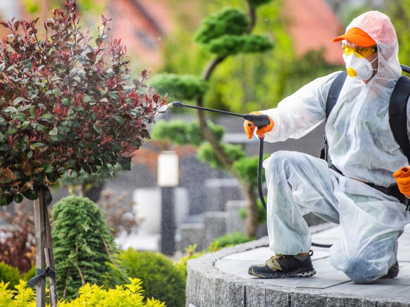 Kent 2 Haşere İlaçlama